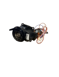 Molinillo de café DELONGHI  AS00008509