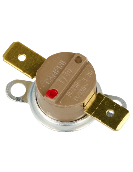 TERMOSTATO SMEG 818731476