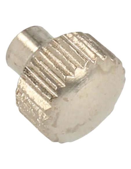 Interruptor De Programador SMEG 895930204