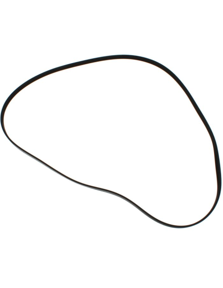 CORREA MIDEA 12638100003442