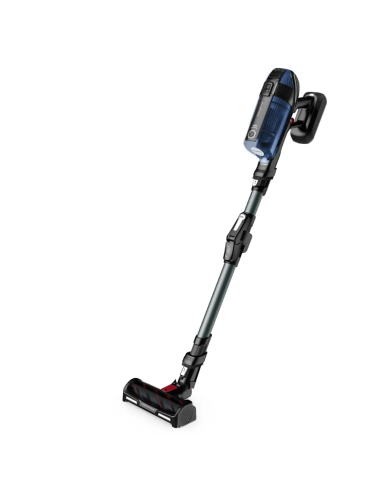 Aspiradora sin cable ROWENTA X-Force Flex 12.60 Tecnología Aqua
