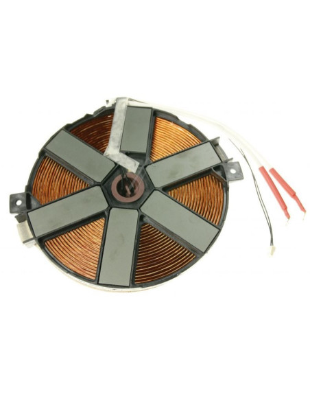 PLACA DE INDUCCIÓN HISENSE 795824