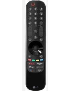 Mando a Distancia LG MR22GA